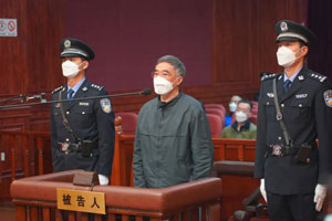 原国家粮食局党组成员、副局长徐鸣受贿、利用影响力受贿案一审...
